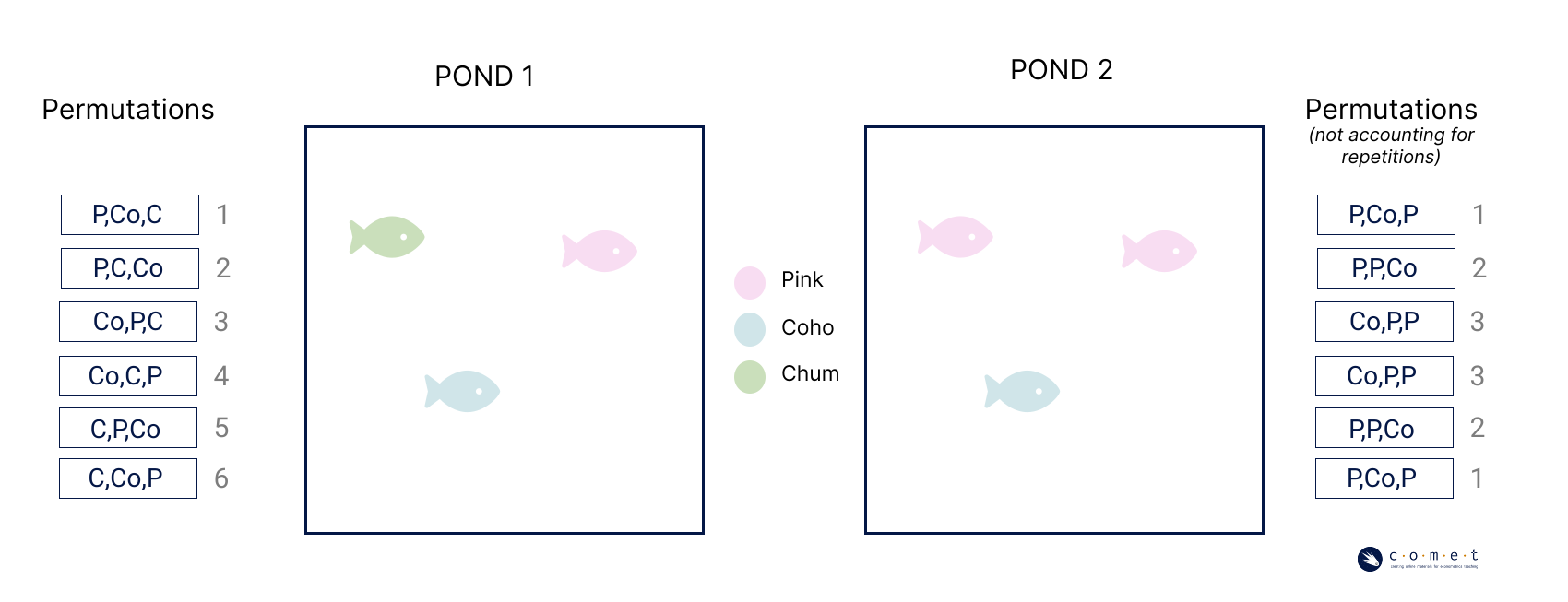 A visualisation showing how the number of permutations was is reduced when a repeat of the element (two of the same salmon species) are introduced