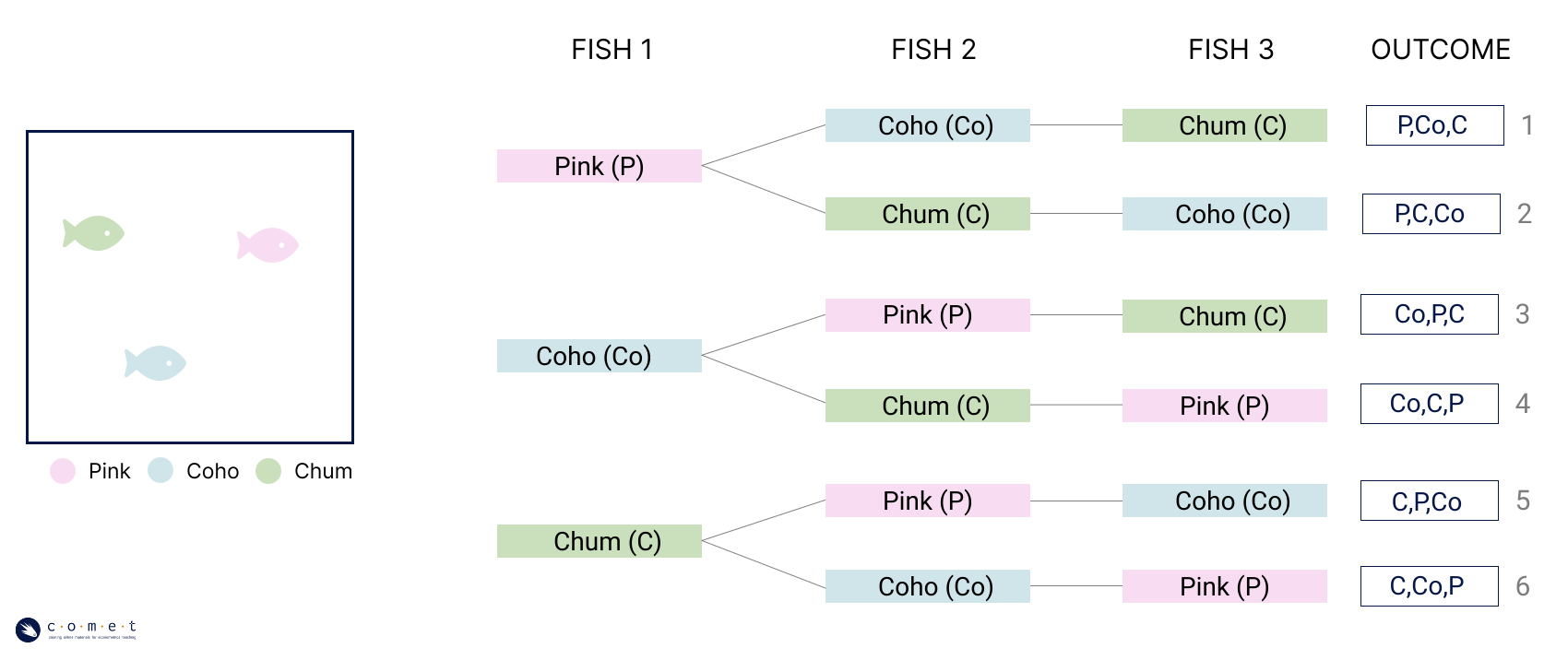 A tree diagram showing that there are sie possible outcomes from a pond with this combination of fish